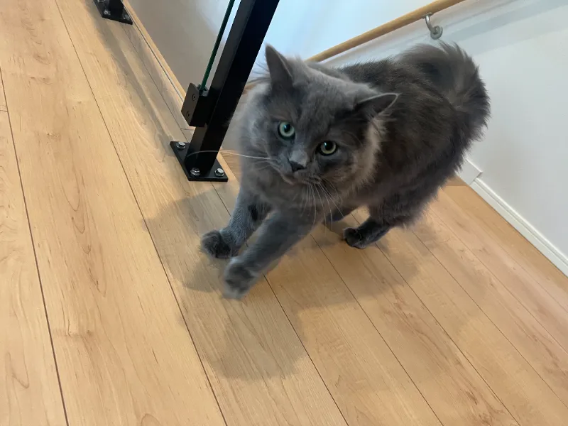 1年点検で感じた、“性能が暮らしを守る家”の価値