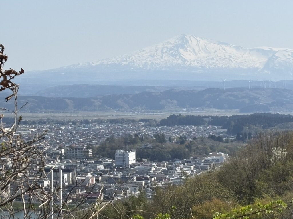 カタログ届けてきました！